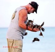 鸟叔—美国夏威夷欧胡岛摄影系列之十一