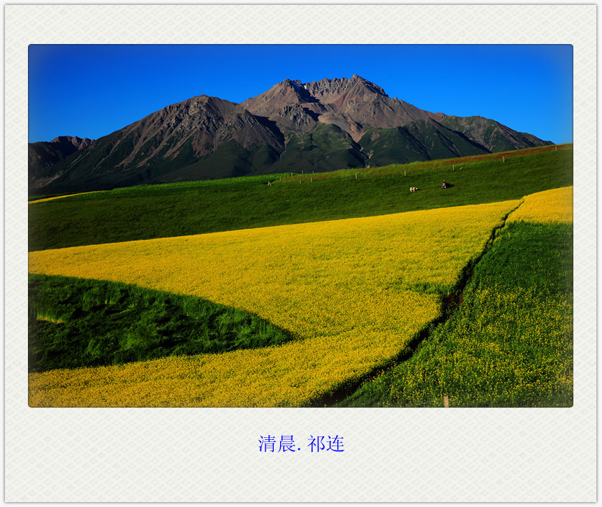 峿.