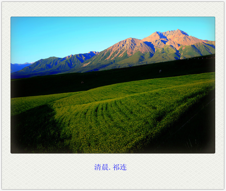 峿.