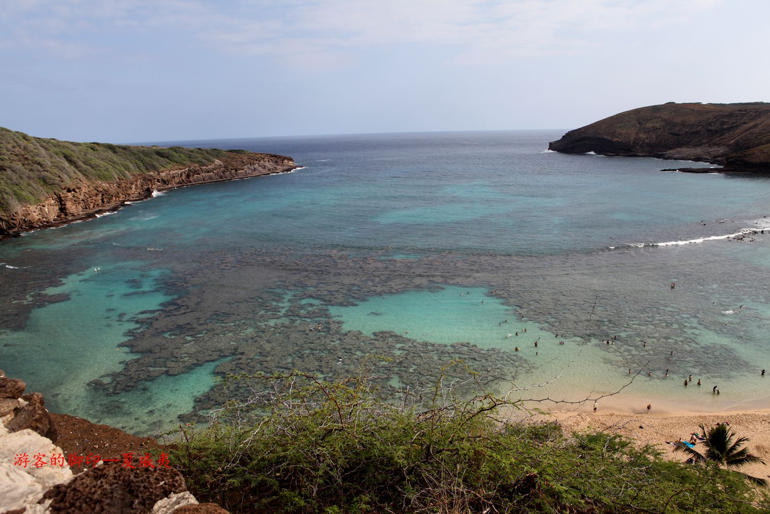 潛泳勝地恐龍灣-美國夏威夷歐胡島攝影系列之十二