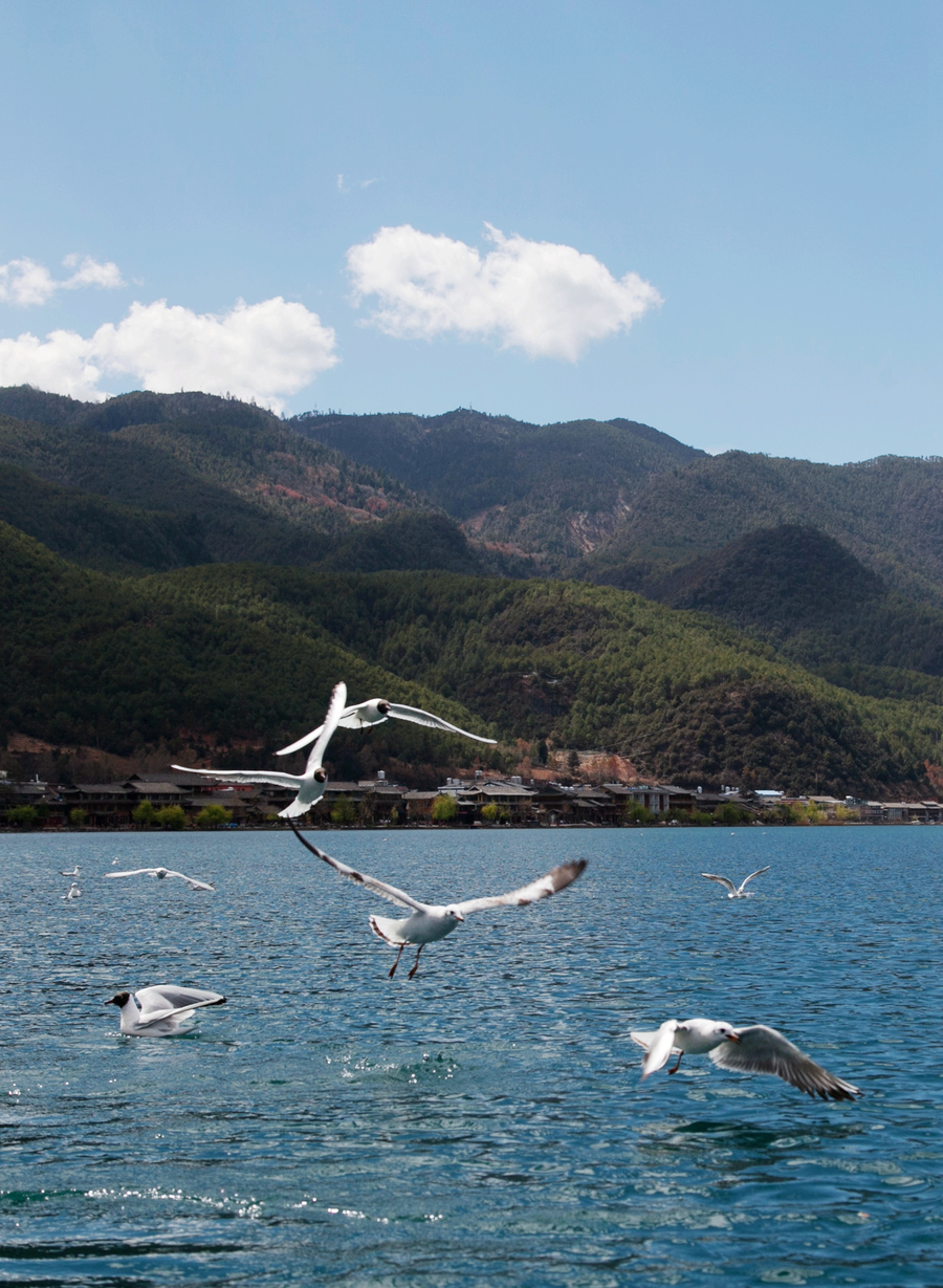 雲南瀘沽湖風光