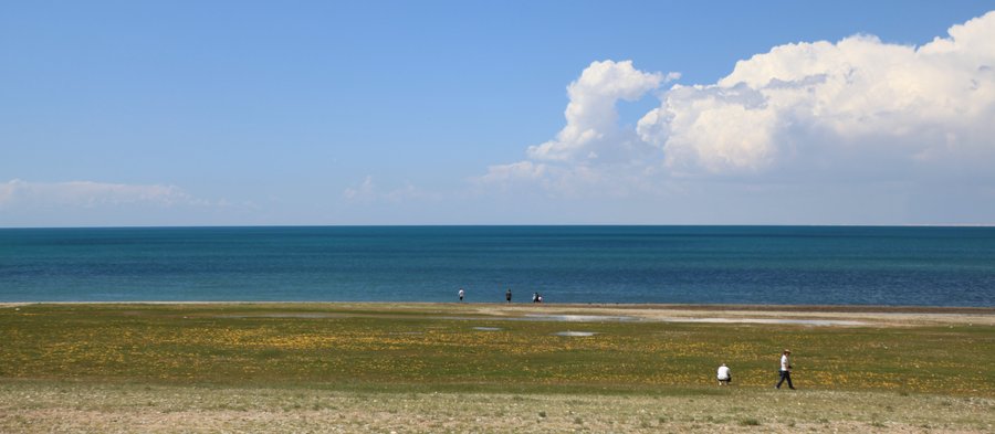 青海湖之旅圖片分享