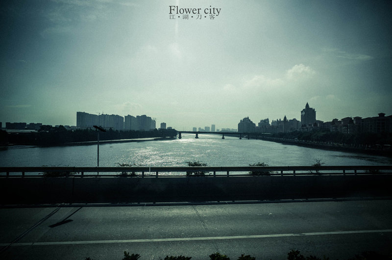 flower city-21