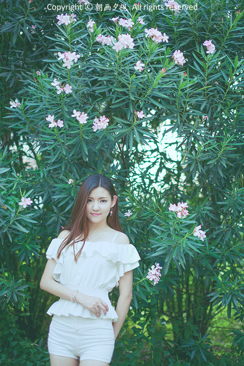 Summer Afternoon