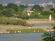 厦深铁路东关围湿地保护区