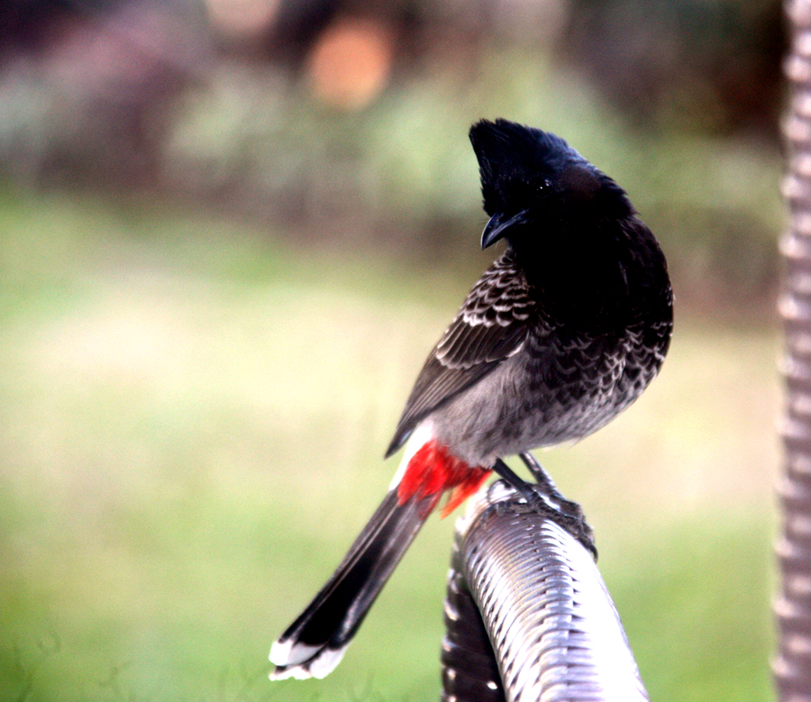 ˼....̫ƽϵ飬쳼÷