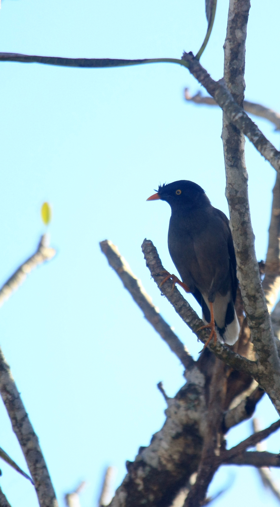 ˼....̫ƽϵ飬쳼÷