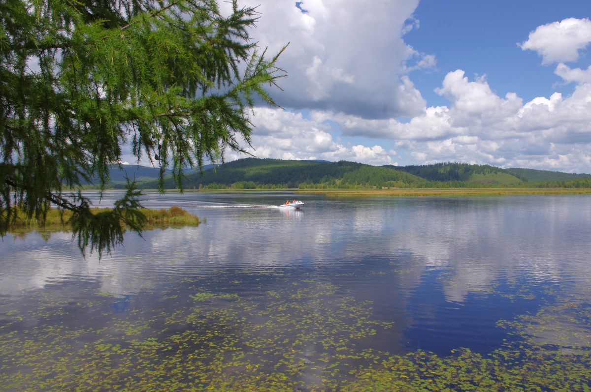 阿爾山杜鵑湖