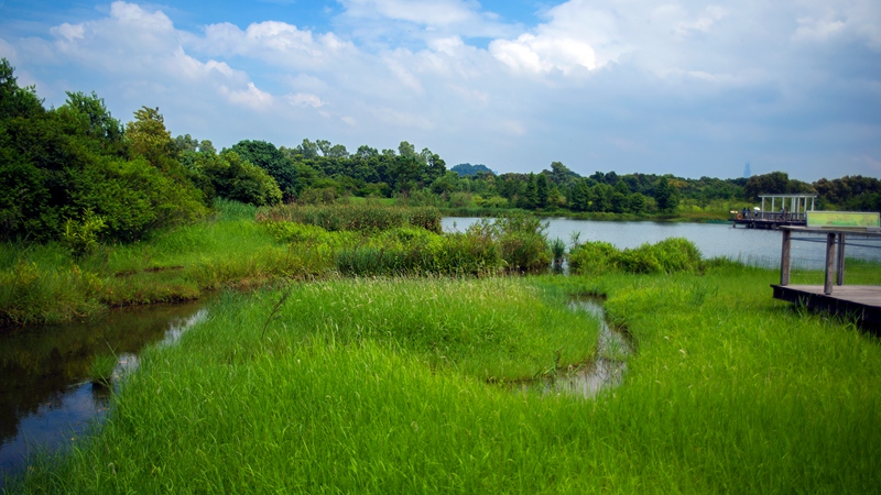 香港溼地公園