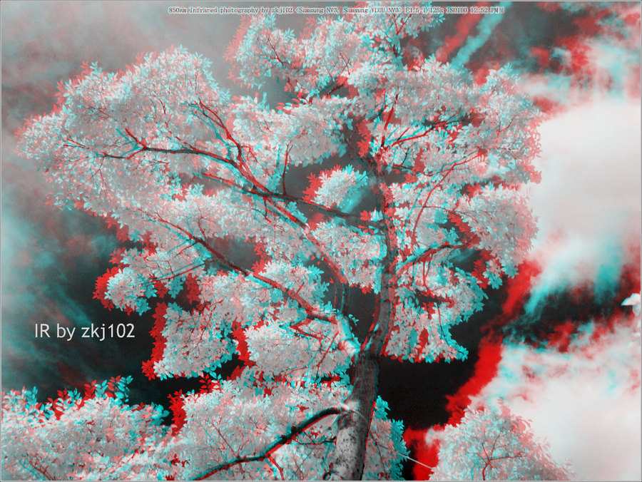 ɫ