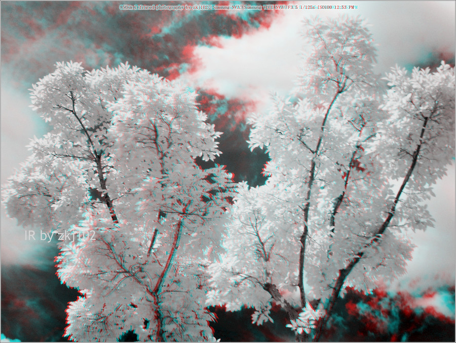 ɫ