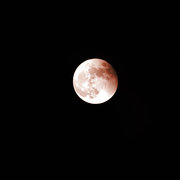 一起来看月食记录10月8号难得一见的红色月亮