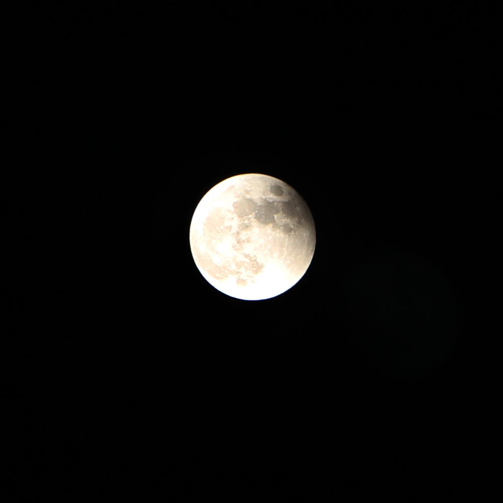 八月初一的月亮图片图片