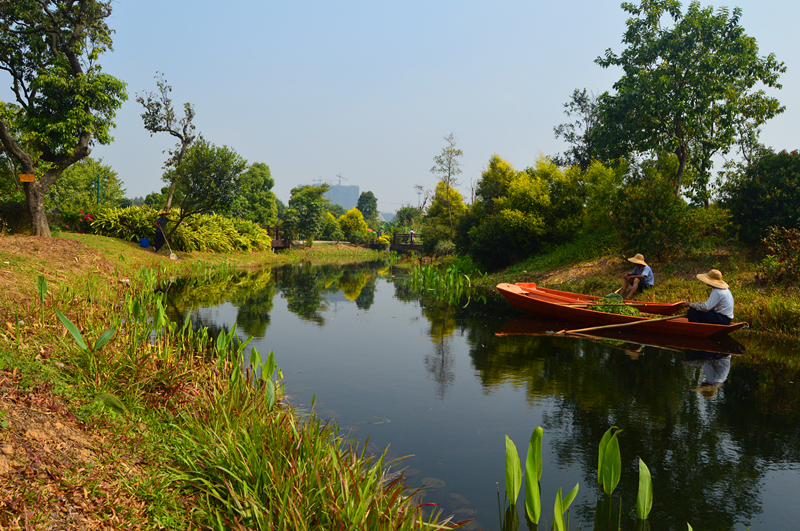 廣州海珠溼地公園