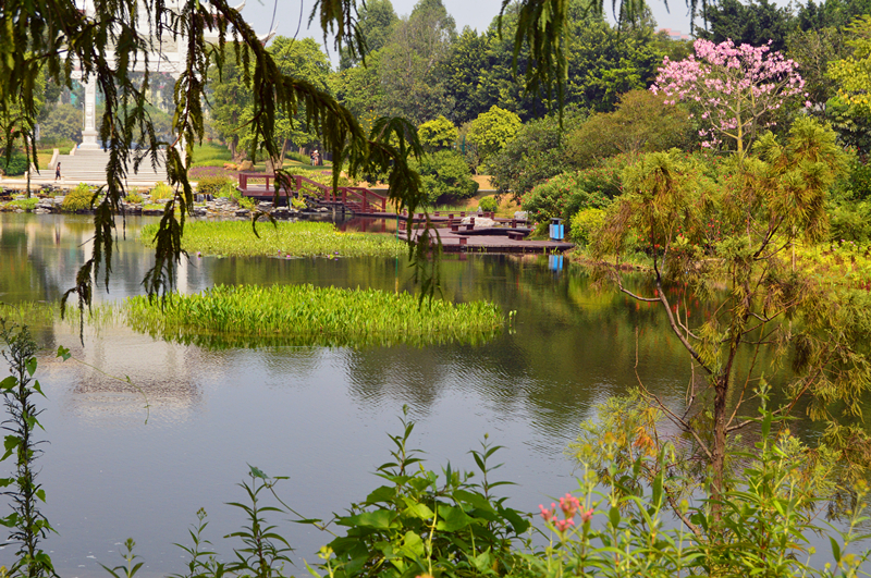 廣州海珠溼地公園