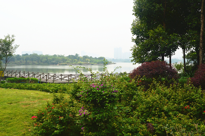 海珠湖公園