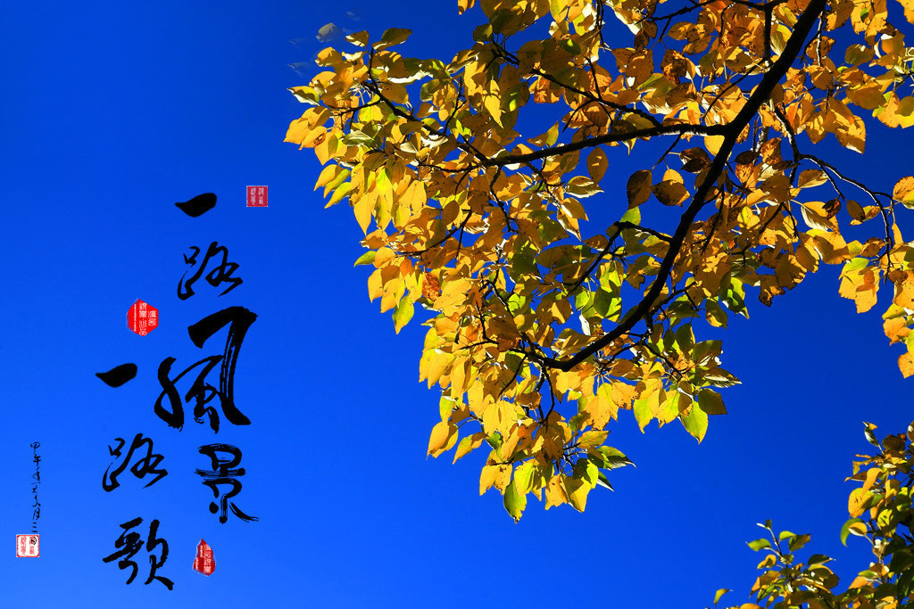【一路风景一路歌(二】