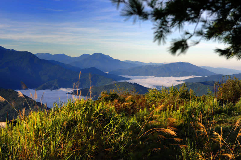 台湾高山族图片 风景图片