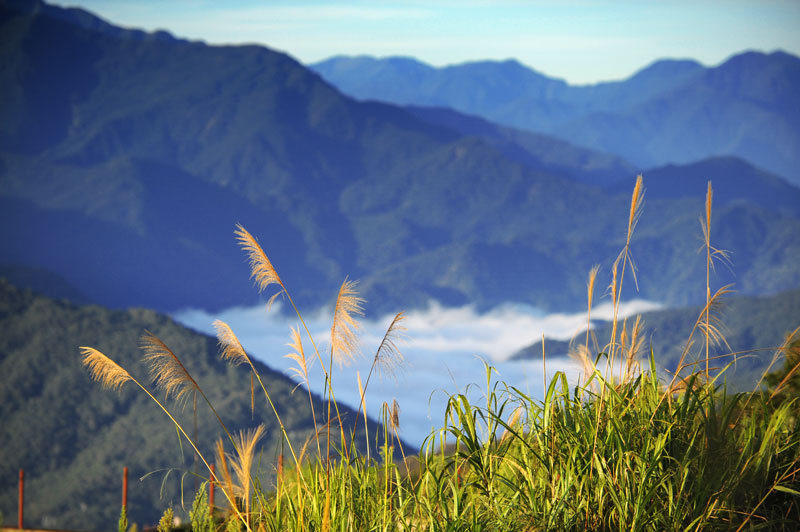 台湾高山族图片 风景图片