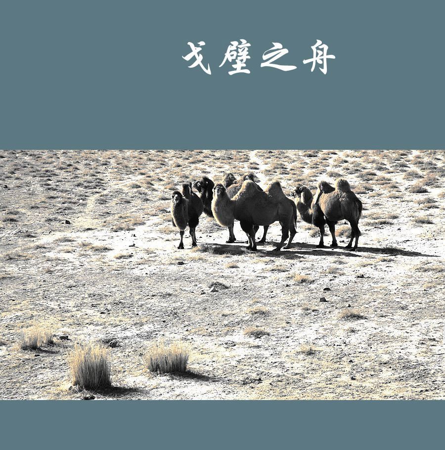 ֮