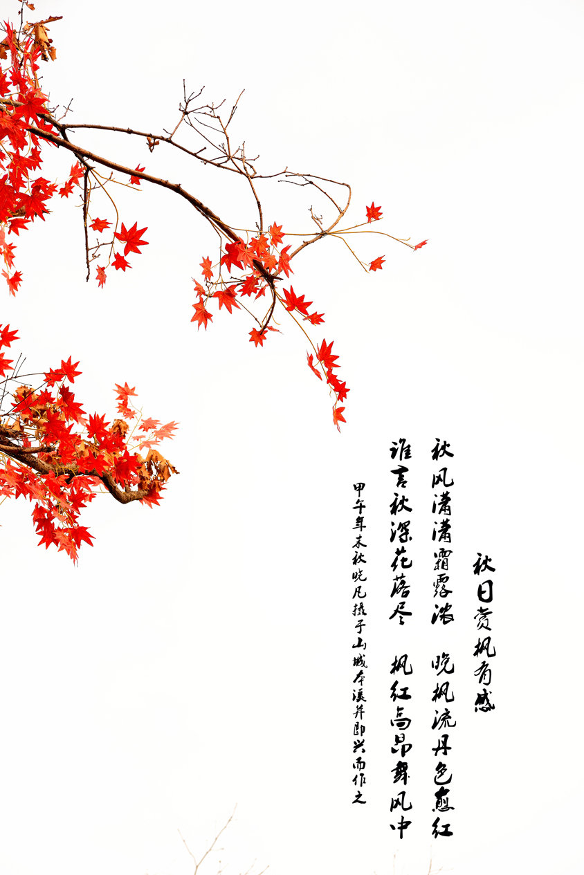 ֮