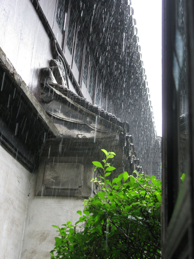 江南春雨图片 真实图片