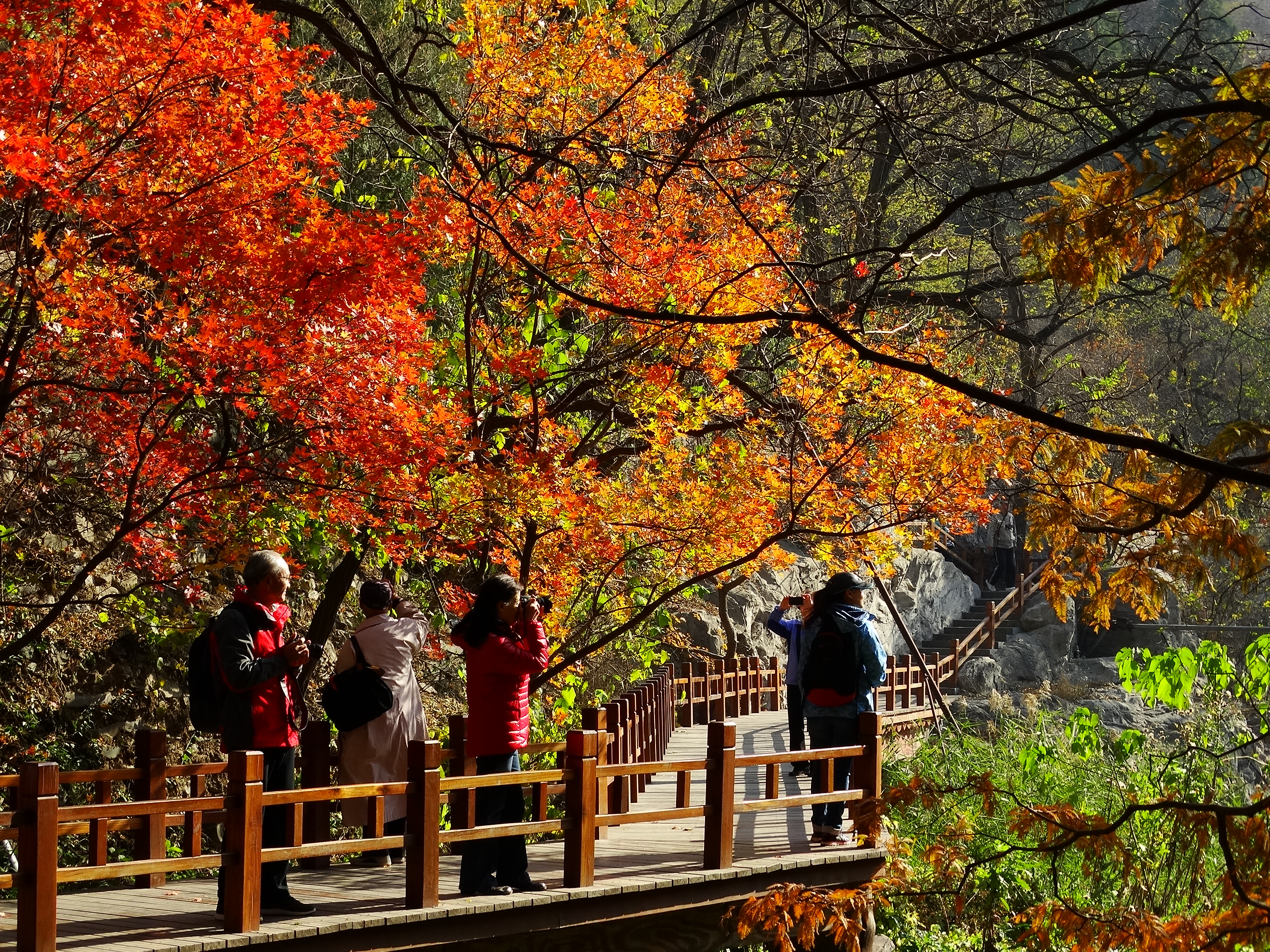北京植物园樱桃沟景区图片
