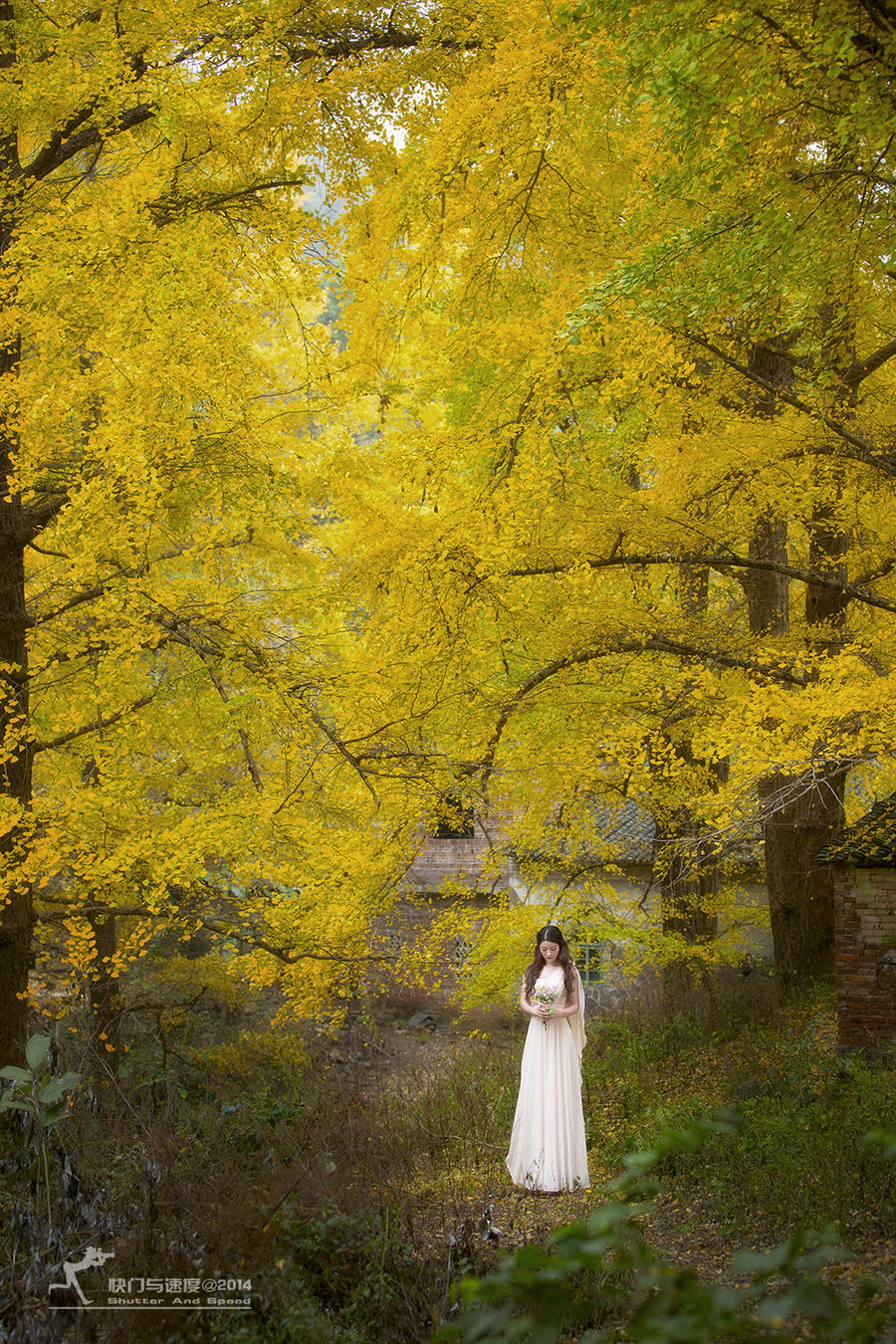 秋天树林拍照穿衣搭配图片