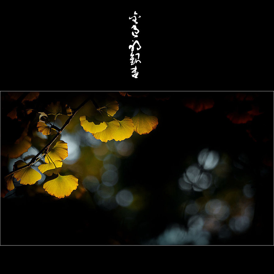 ɫ