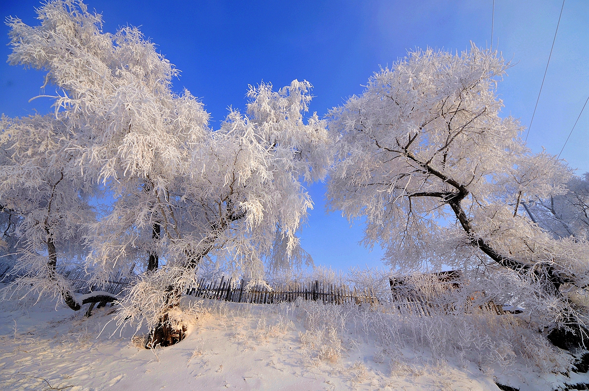 雪淞