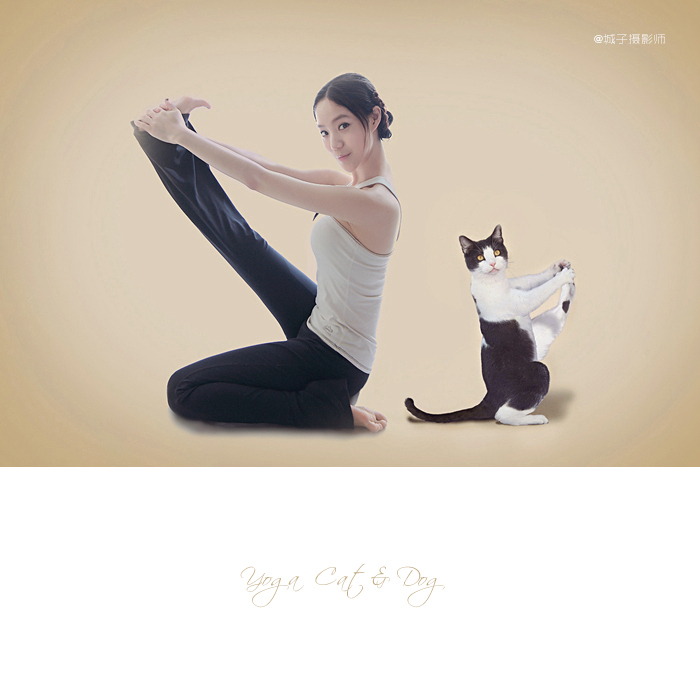 yoga dogs & cats