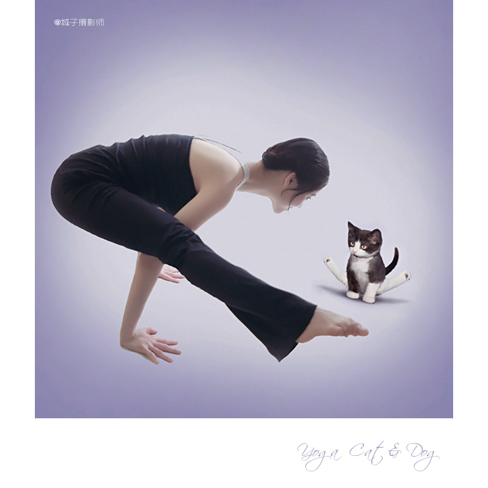 yoga dogs & cats