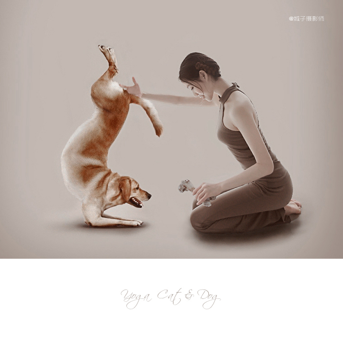 yoga dogs & cats