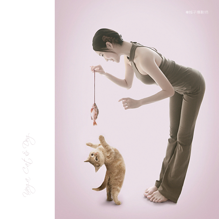 yoga dogs & cats