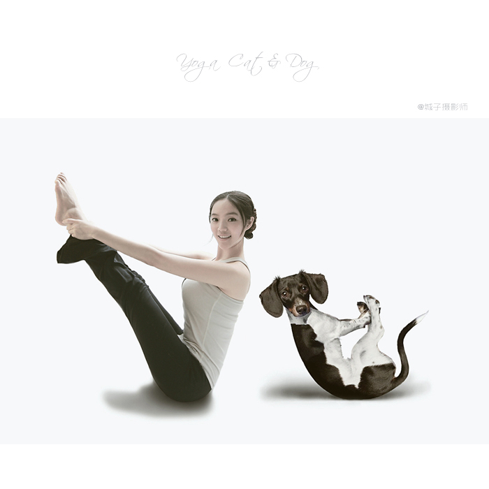 yoga dogs & cats