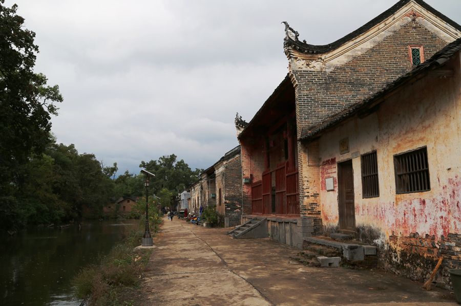 临安杨溪村图片