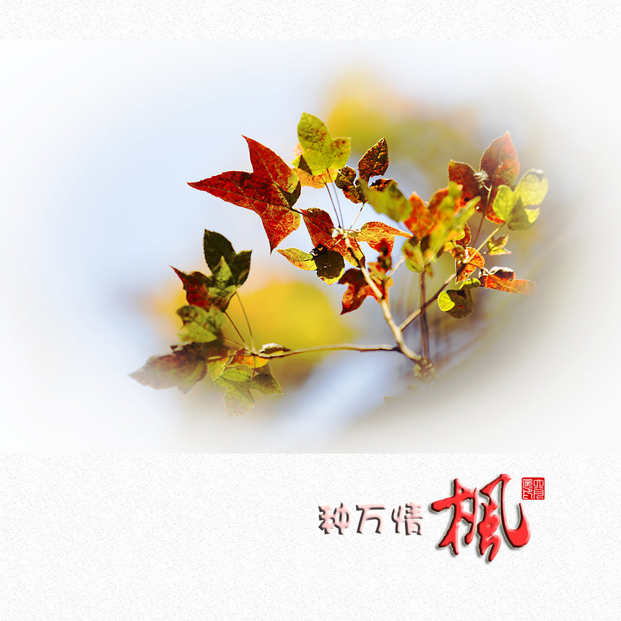 ӻҶѩ