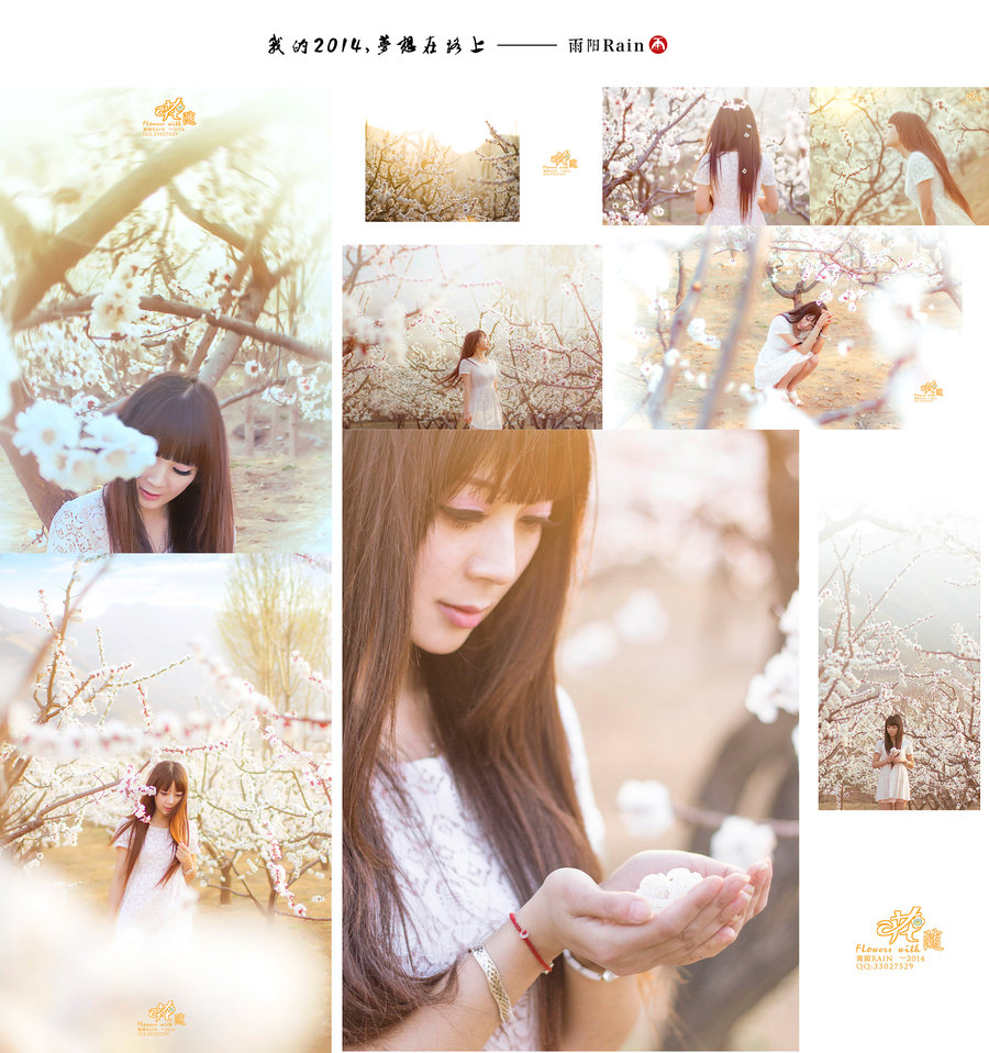 2014عˣ·ϡ