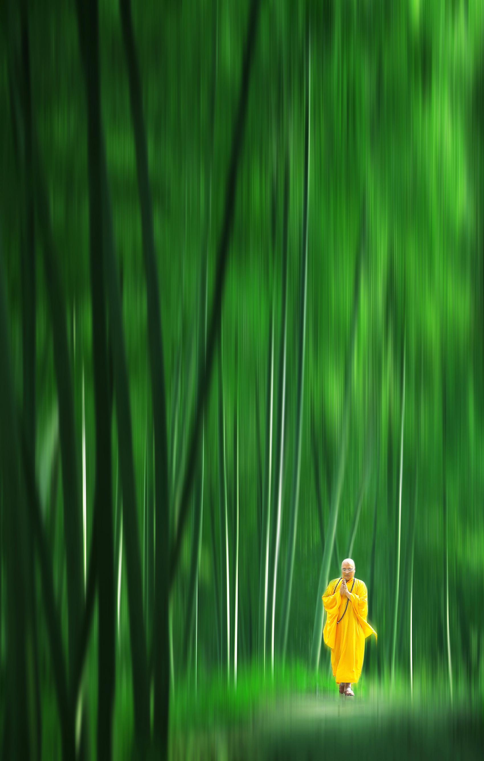 清净的僧人——青灯黄卷的清寂生活