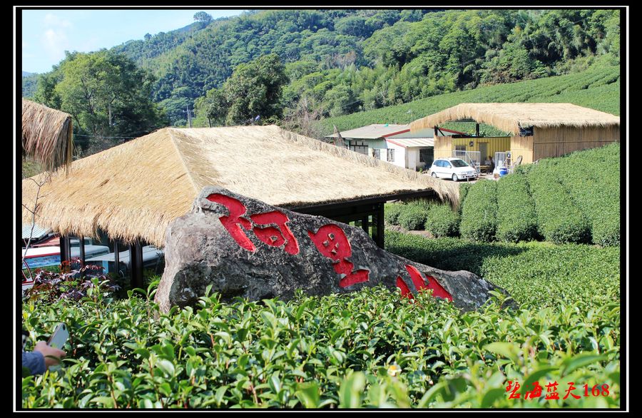 台湾阿里山