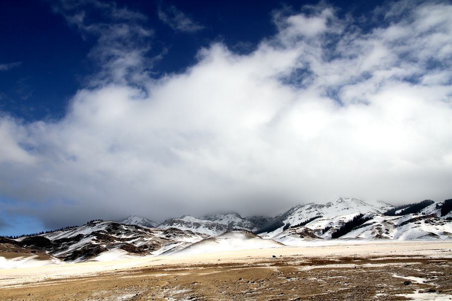 冬天之美，美在新疆……