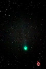 彗星爱喜 Lovejoy(C2014 Q2)和M42@东莞东城
