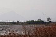 银湖湾湿地冬景