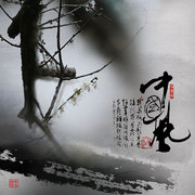 【中国风】--梅主题拍摄系列之三