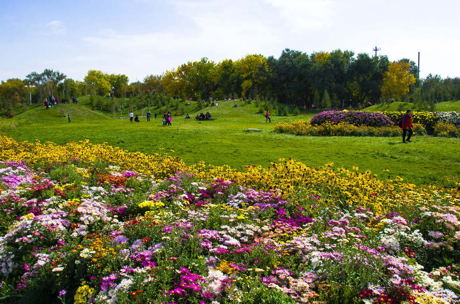 乌鲁木齐植物园导览图图片