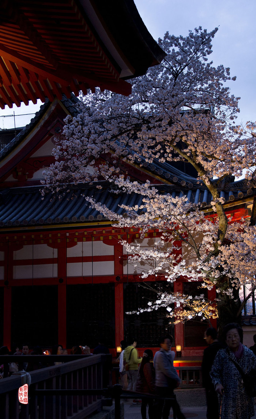 【在那櫻花盛開的地方—清水寺之夜攝影圖片】京都風光攝影_雲峰攝影