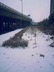 2015年太原第4场雪