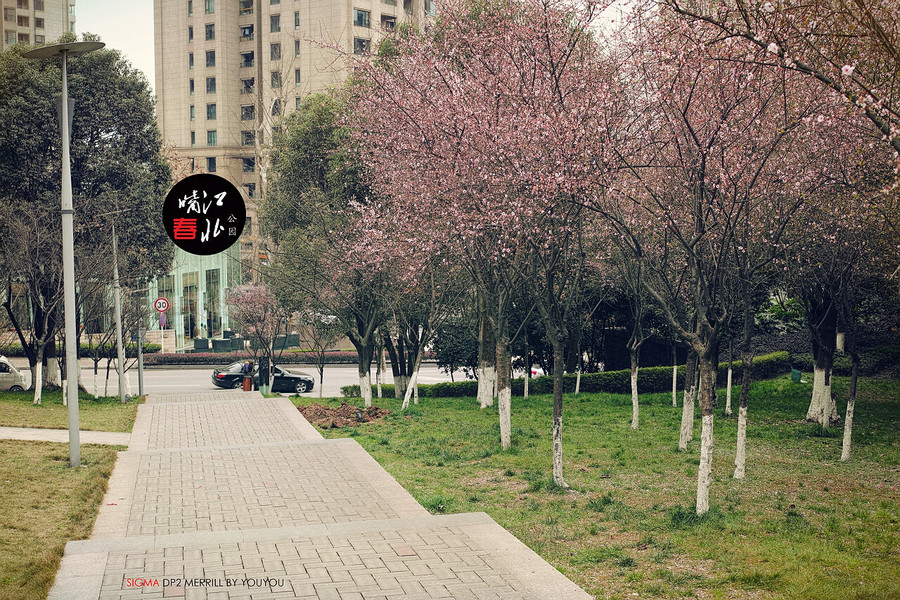 春．重庆江北嘴公园
