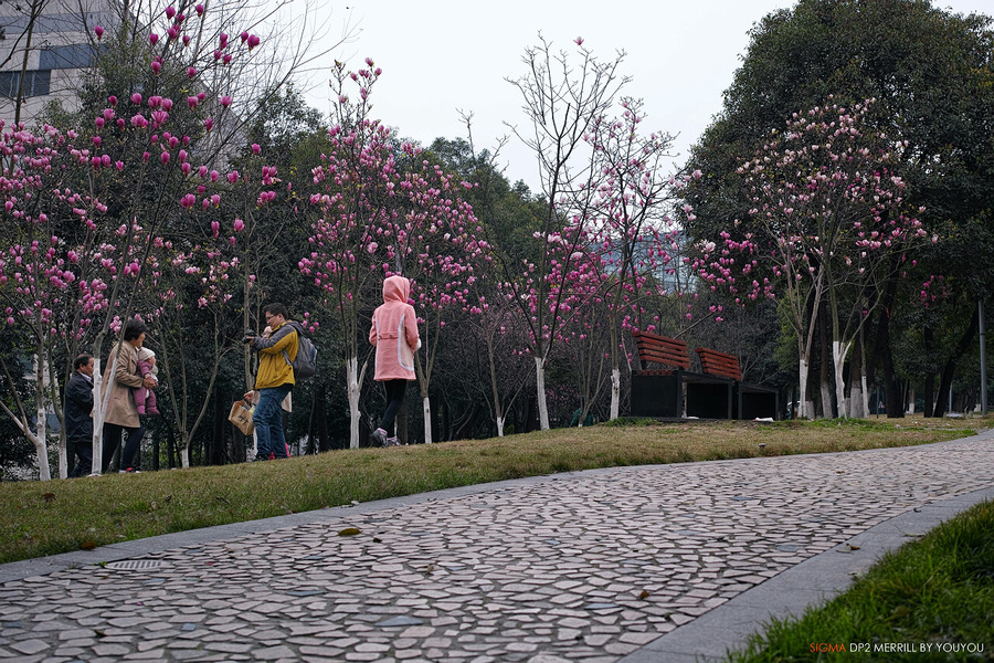 春．重庆江北嘴公园