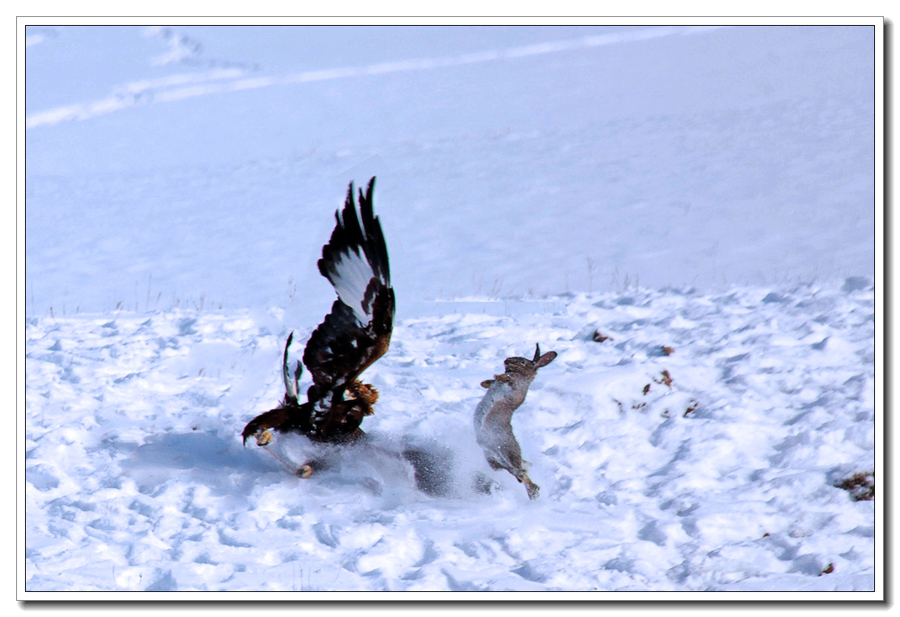 2015-01-30й&#8226;ӹĻν